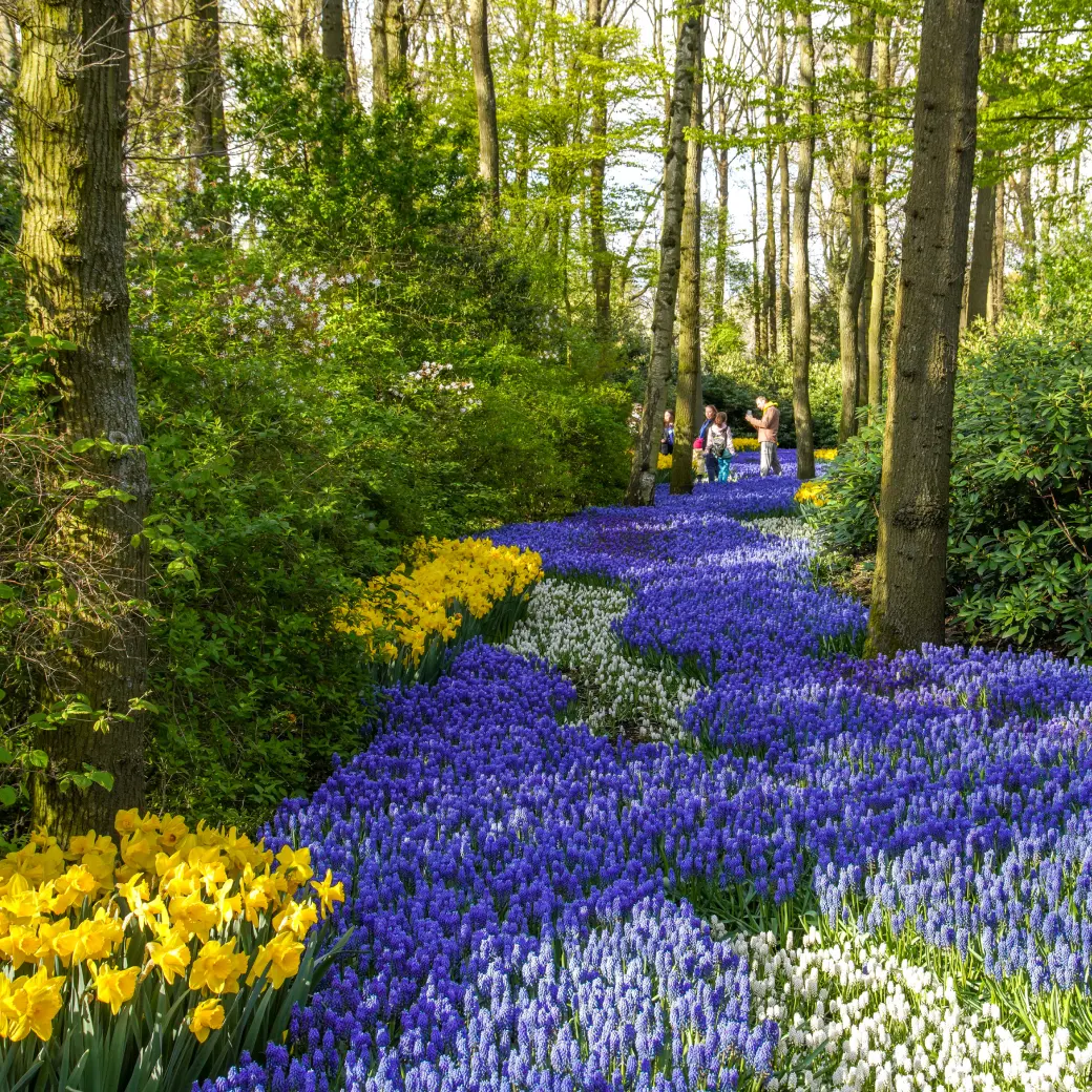 combi keukenhof and canal cruise