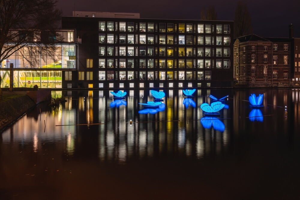 Why is a canal cruise one of the top fun activities in Amsterdam?