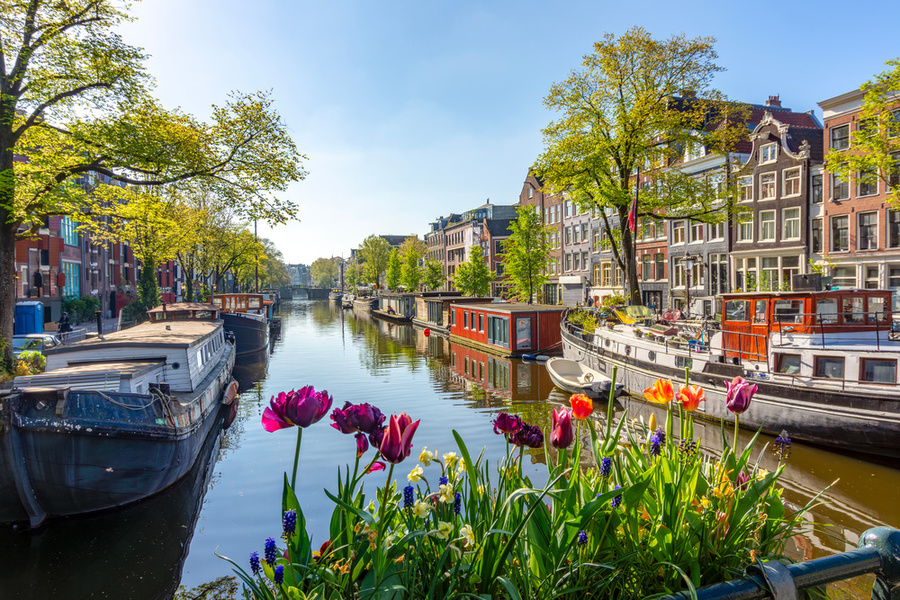 what are different things to do in amsterdam
