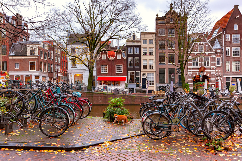 what can you do in amsterdam when it rains